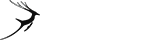 随时帮您忙的ddos压力在线测试平台